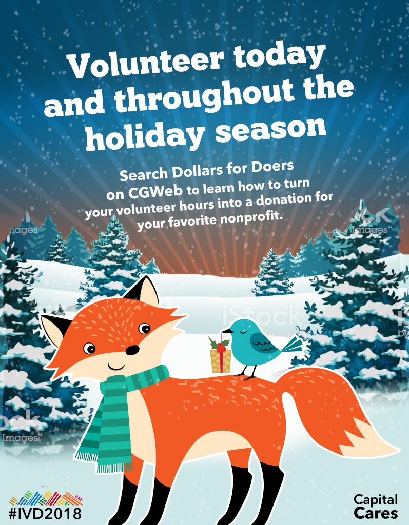 International Volunteer Day poster