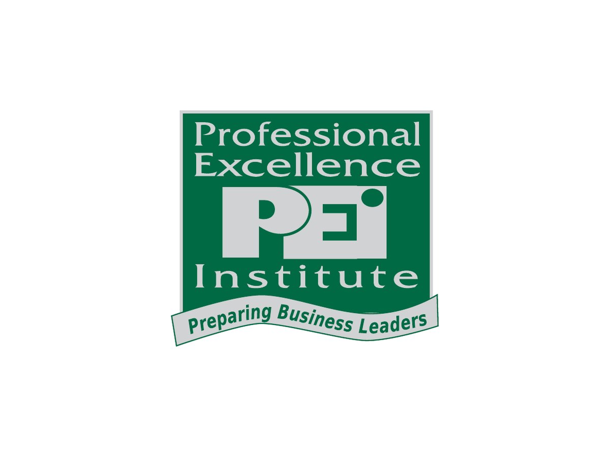 Professional Excellence Institute